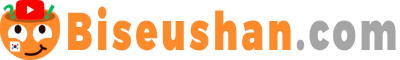 biseushan.com