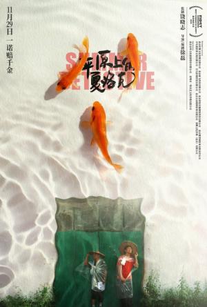 평원상적하락극 (2019)