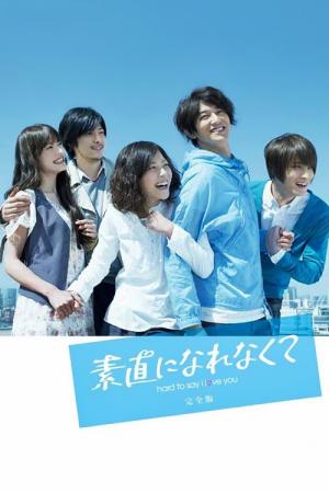 솔직하지 못해서 (2010)