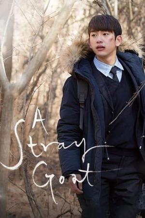 눈발 (2017)