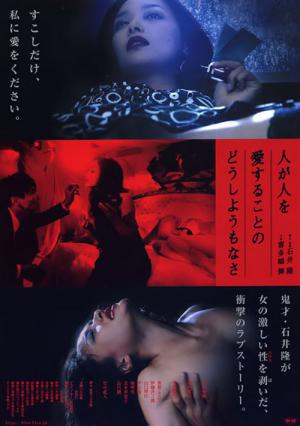 가학의 성 (2007)