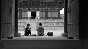 교포 (2019)