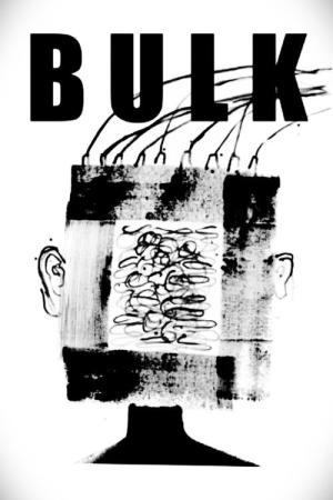 벌크 (2025)