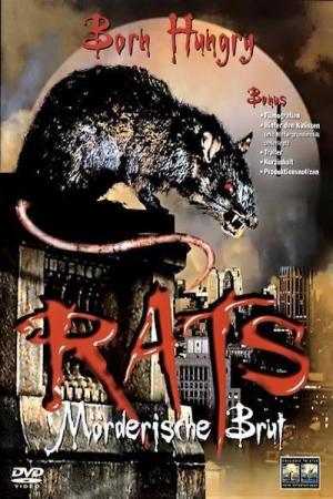 렛츠 (2003)