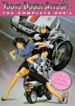 체포하겠어 (1996)