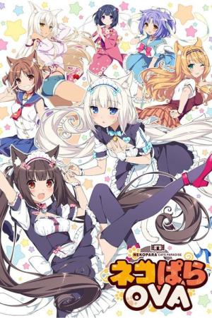 네코파라 OVA (2017)