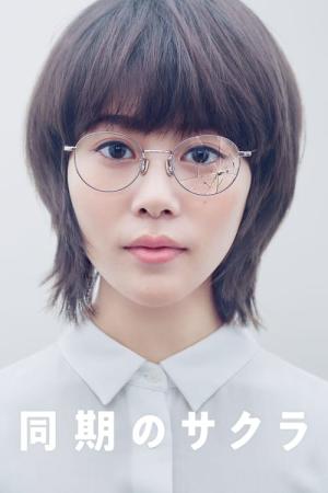 동기의 사쿠라 (2019)