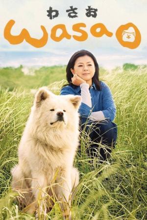 내 친구 와사오 (2011)