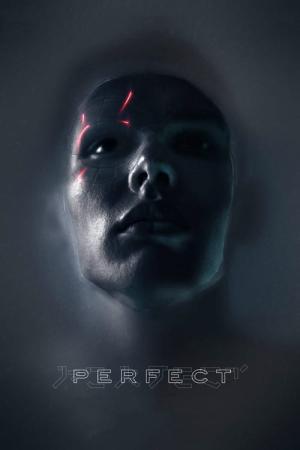 퍼펙트 (2018)