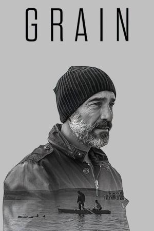 그레인 (2017)