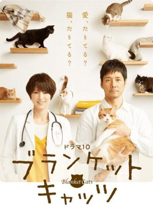 블랭킷 캣 (2017)