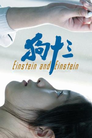아인쉬타인과 아인쉬타인 (2013)