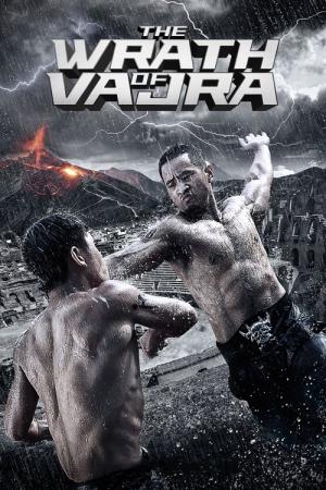 소림사 2014 (2013)
