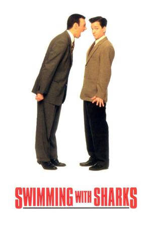 벼랑 끝에 걸린 사나이 (1994)