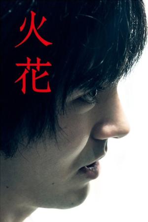 Hibana: 불꽃 (2016)