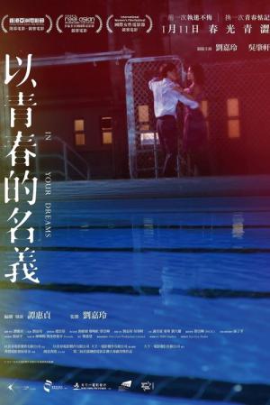 인 유어 드림스 (2017)