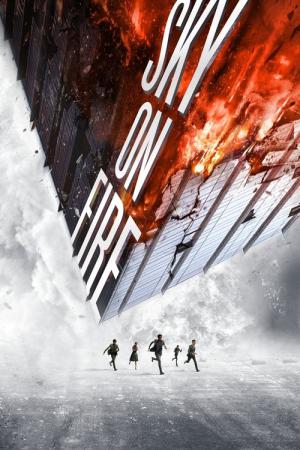 충천화 (2016)