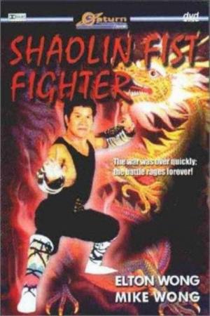 Return of the Chief to Shaolin Temple (1980)