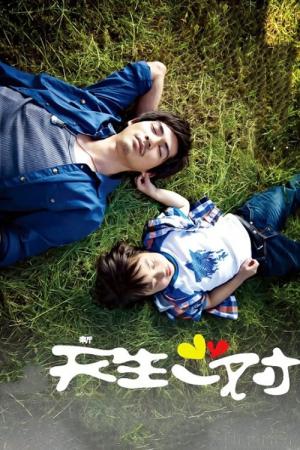 신천생일대 (2012)
