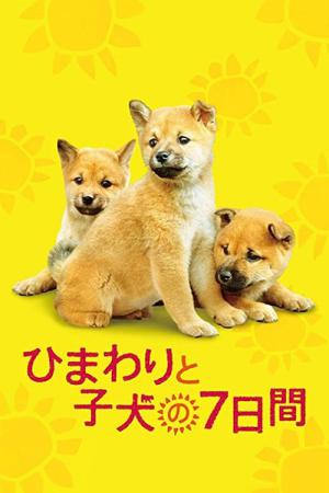 히마와리와 나의 7일 (2012)