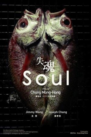 실혼 (2013)