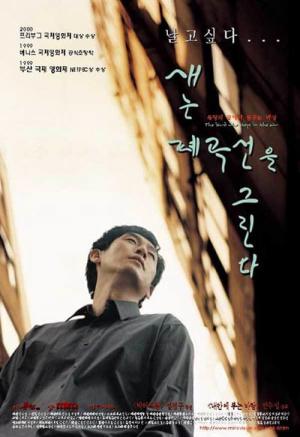 새는 폐곡선을 그린다 (1999)