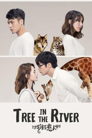 동물계연인아 (2018)