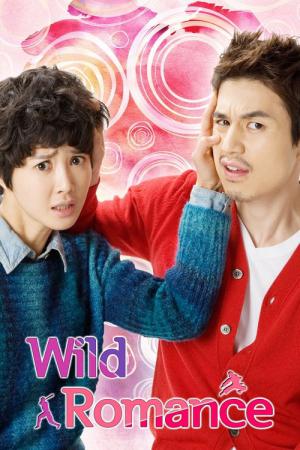 난폭한 로맨스 (2012)