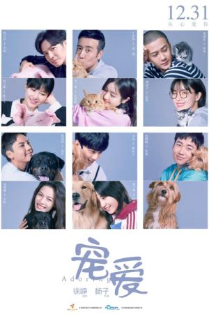 총애 (2019)