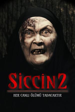 시진 2 (2015)