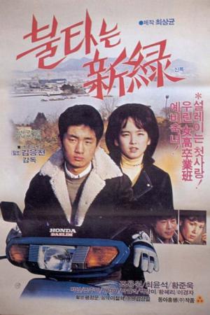 불타는 신록 (1984)