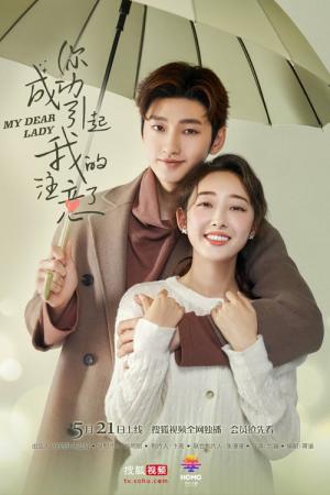 니성공인기아적주의료 (2020)
