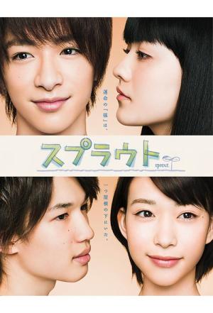 스프라우트 (2012)