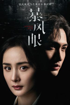 폭풍안 (2021)