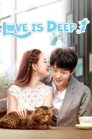 천정인부지 (2019)