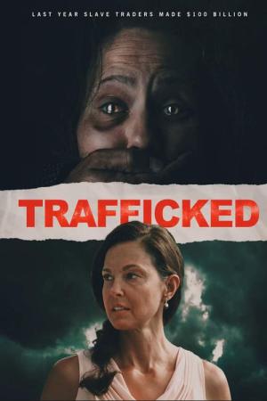 트래픽트 (2017)