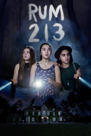 룸 213 (2017)