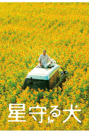 별을 바라보는 개 (2011)
