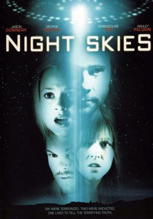 나이트 스카이스 (2007)