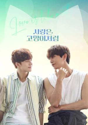 사랑은 고양이처럼 (2024)