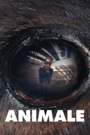 아니말 (2024)