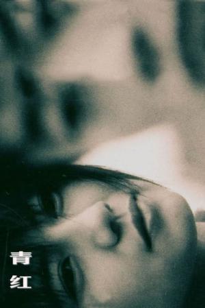 청홍 (2005)
