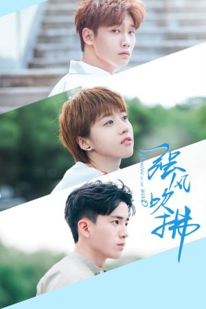강풍취불 (2019)