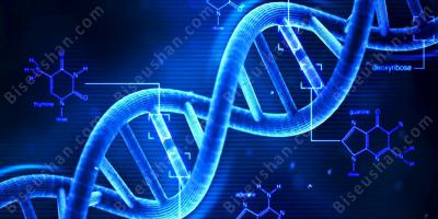 DNA 영화
