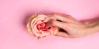 성과학 영화