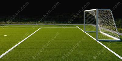축구 필드 영화