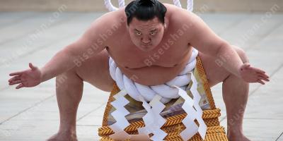 스모 영화