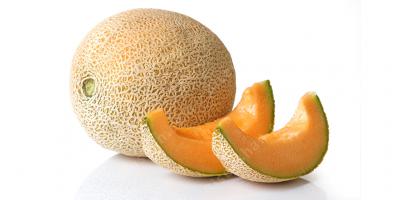 멜론 영화